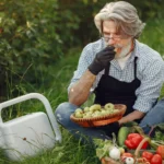 Elderly farmer sampling fresh fruit and vegetables on a sunny day in the farm garden.
