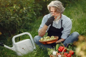 Elderly farmer sampling fresh fruit and vegetables on a sunny day in the farm garden.