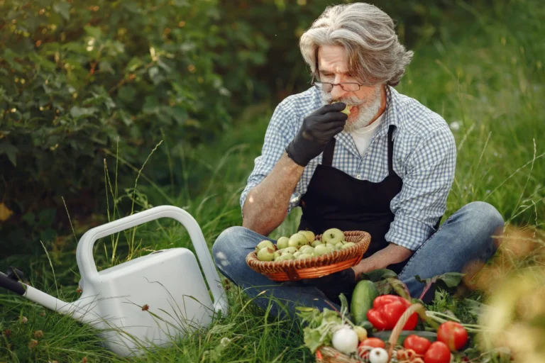 Elderly farmer sampling fresh fruit and vegetables on a sunny day in the farm garden.