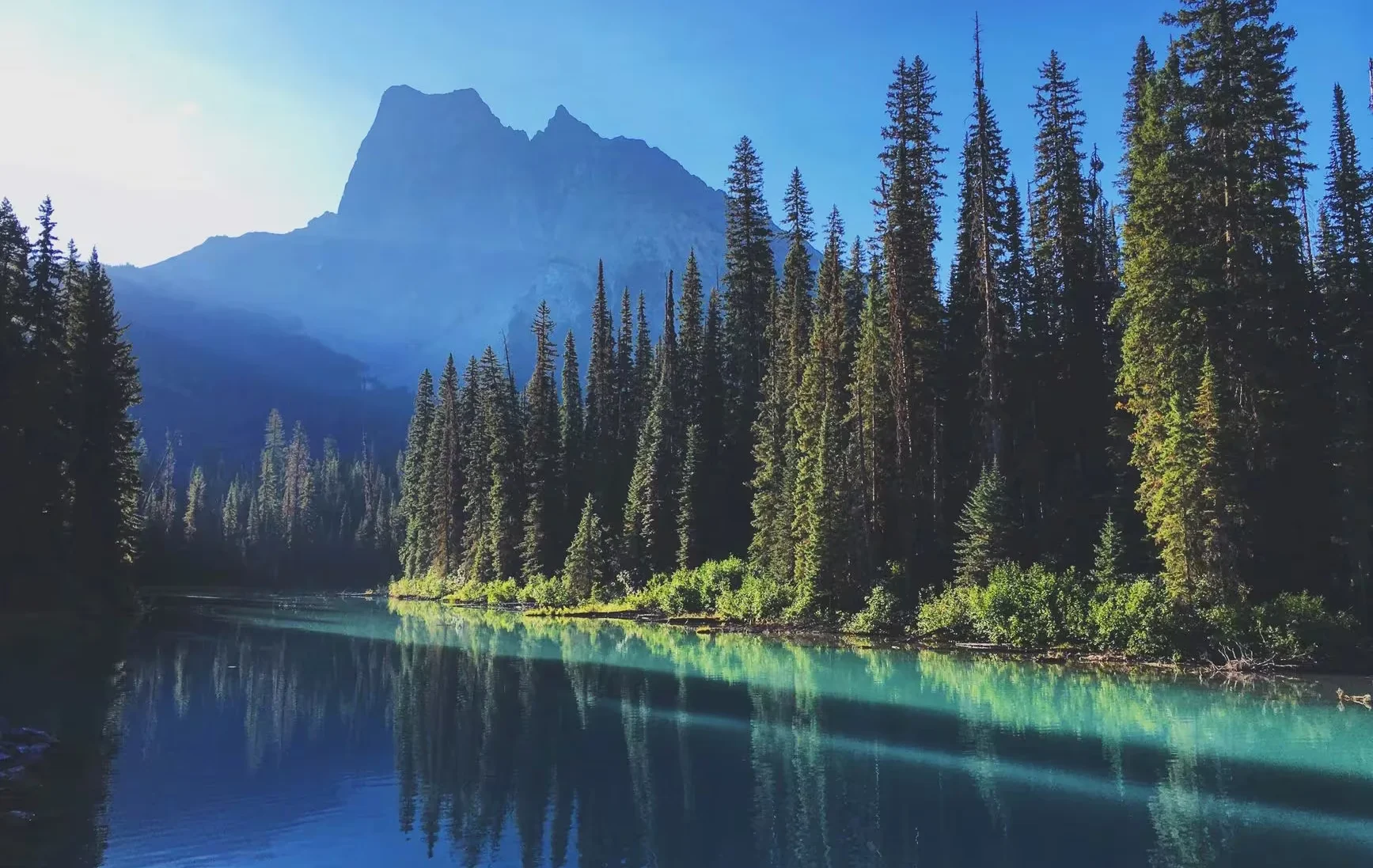 Scenic view of a serene mountain lake surrounded by tall pines under clear blue skies.