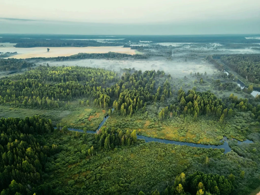 A serene aerial shot capturing a misty forest landscape in Minsk Region, Belarus.