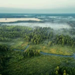 A serene aerial shot capturing a misty forest landscape in Minsk Region, Belarus.