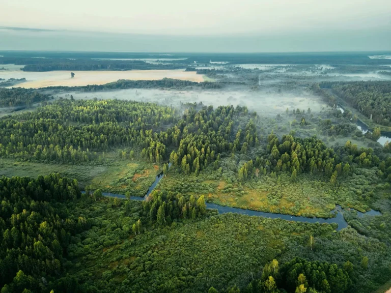 A serene aerial shot capturing a misty forest landscape in Minsk Region, Belarus.