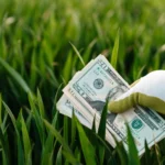 Crop faceless grower in garden gloves demonstrating heap of paper money with photo of unrecognizable person and numbers near growing lush grass