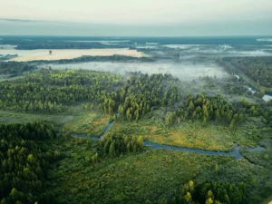A serene aerial shot capturing a misty forest landscape in Minsk Region, Belarus.
