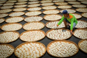 Man arranging fish crackers in a traditional setting in Indramayu, West Java, Indonesia.